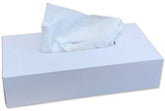 Hotel tissues 2-lgs cellulose 40 dsjes à 100 vel